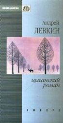 Цыганский роман: повести, рассказы (Книга не новая, но в хорошем состоянии)