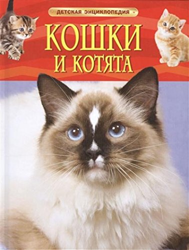 Кошки и котята