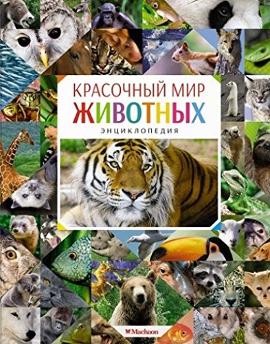 Красочный мир животных