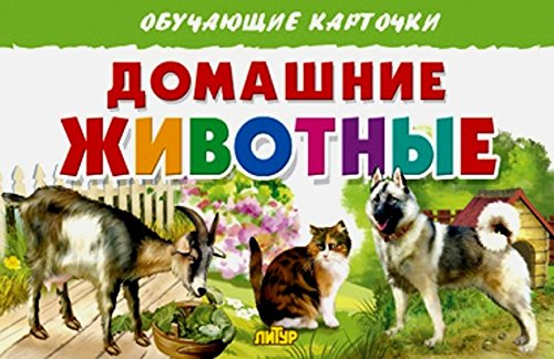 Домашние животные (0+)