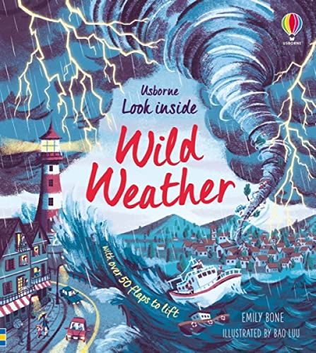 Look Inside Wild Weather (board book)