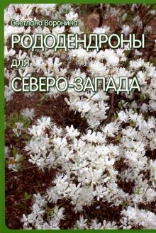 Рододендроны для Северо-Запада.