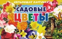 Садовые цветы