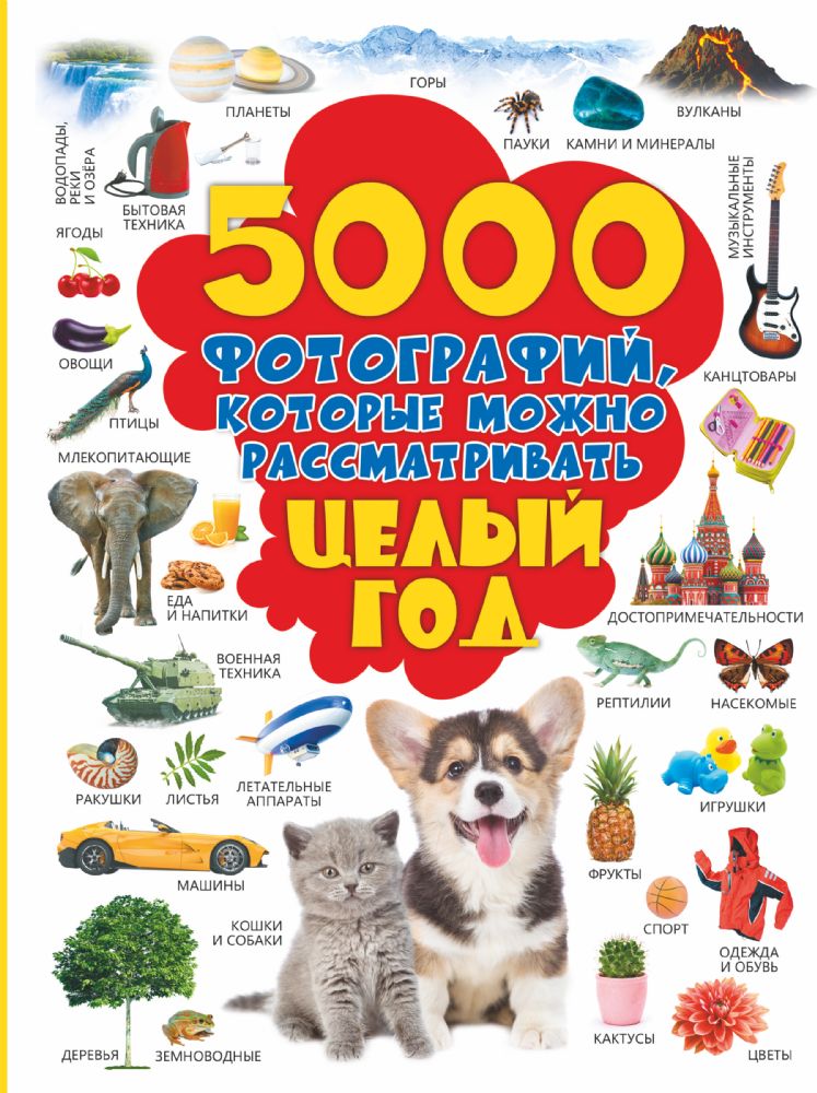 5000 фотографий, которые можно рассматривать целый год