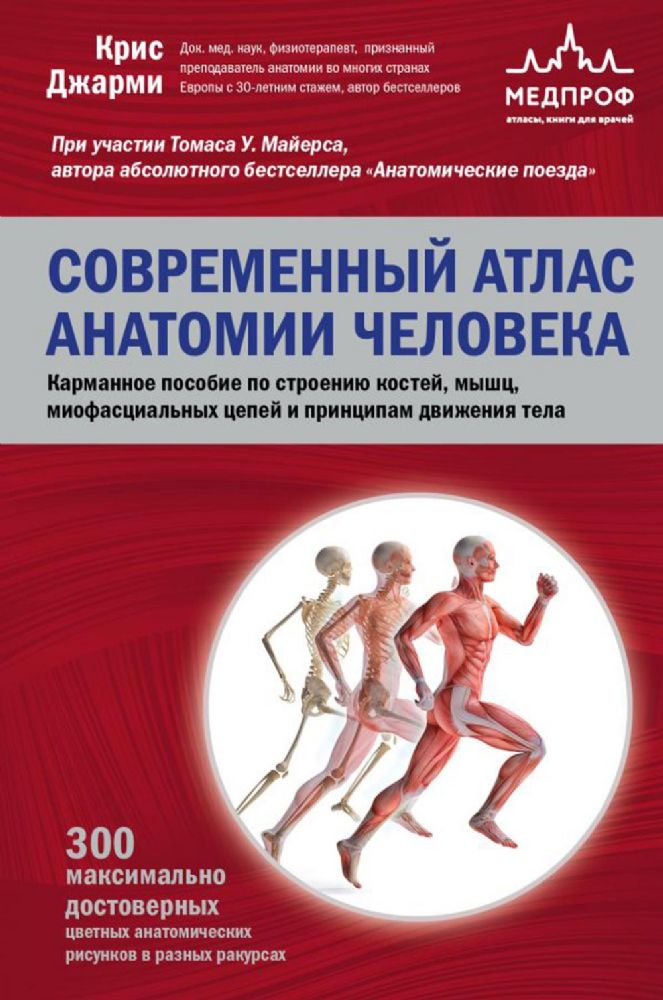 Современный атлас анатомии человека. Карманное пособие по строению костей, мышц, миофасциальных цепей и принципам движения тела