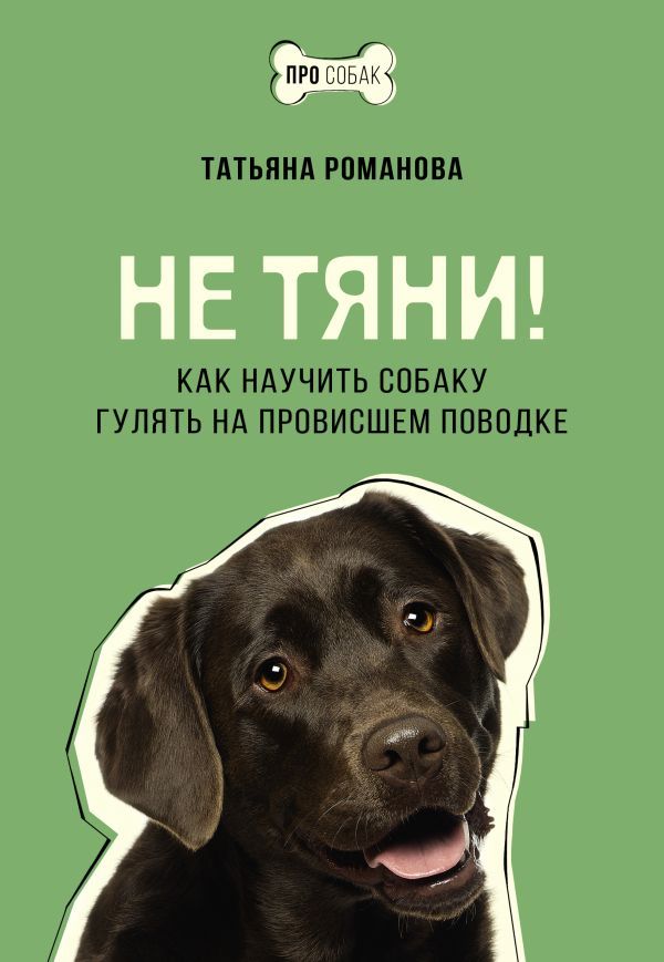 Не тяни! Как научить собаку гулять на провисшем поводке