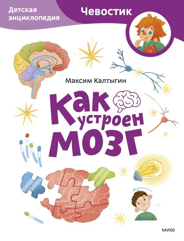 Как устроен мозг. Детская энциклопедия (Чевостик) (Paperback)