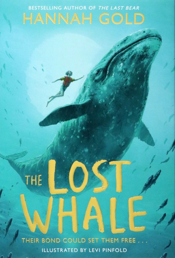 The Lost Whale