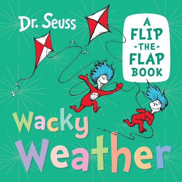 Wacky Weather: A Flip-the-Flap Book (Board book)