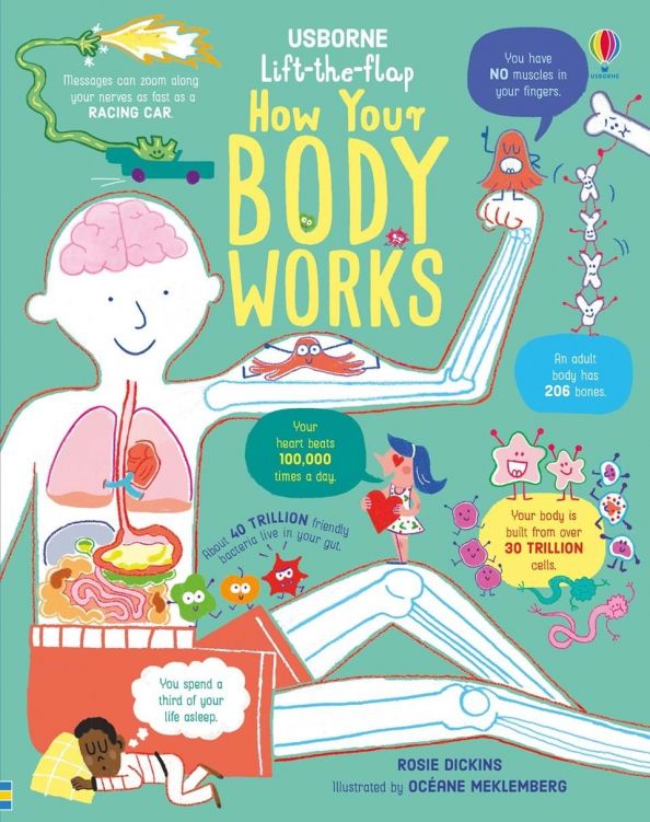 How Your Body Works (board book)