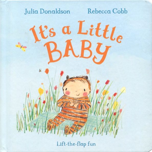 Its a Little Baby (board book)'