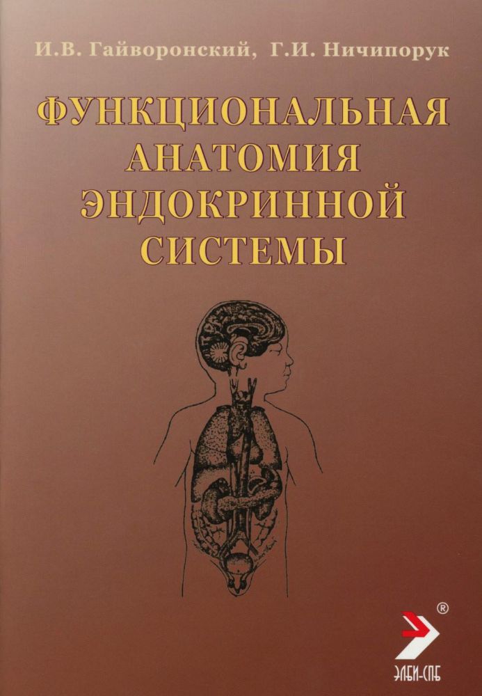 Функциональная анатомия эндокринной системы: Учебное пособие. 10-е изд., доп. и испр